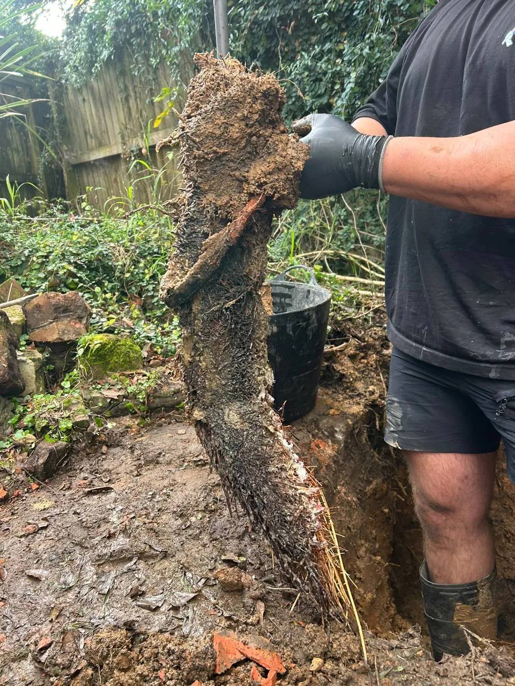 A mass of tree roots removed from a sewer pipe