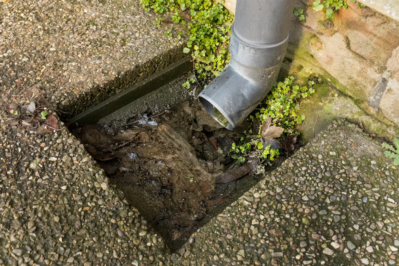 Stormwater pit blocked with silt and leaf litter